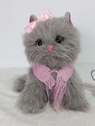 Gatita Reborn bebé silicona.