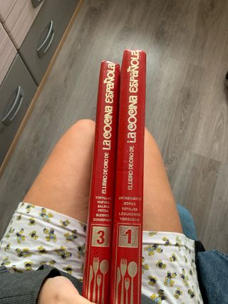 el libro de oro de la cocina española