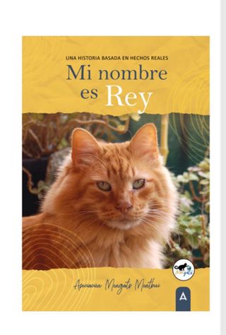 Mi nombre es Rey