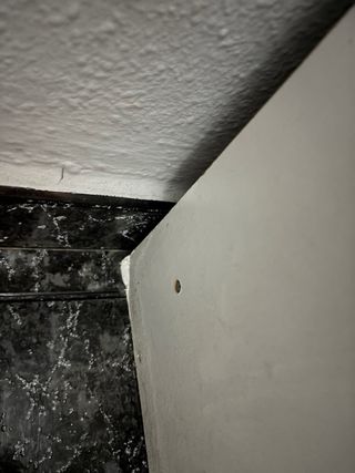 Zapatero de madera y tela con espejo