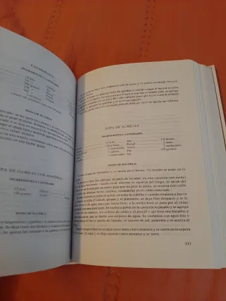 Manual de cocina (Recetario de la Sección Femen...