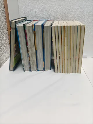 15 Libros Geronimo Stilton,14 Catalán 1 Español