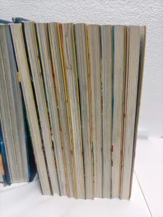 15 Libros Geronimo Stilton,14 Catalán 1 Español