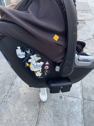 Ovetto Inglesina Darwin i-Size