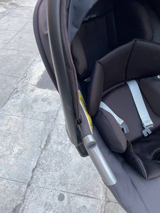 Ovetto Inglesina Darwin i-Size