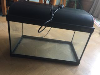 Pecera con luz (no funciona)