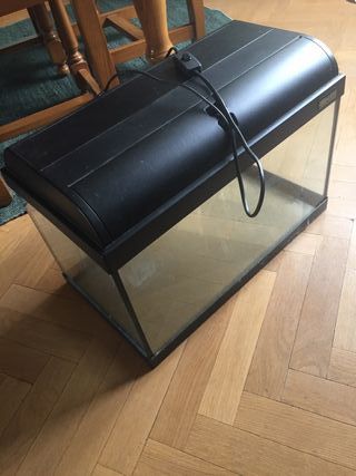 Pecera con luz (no funciona)