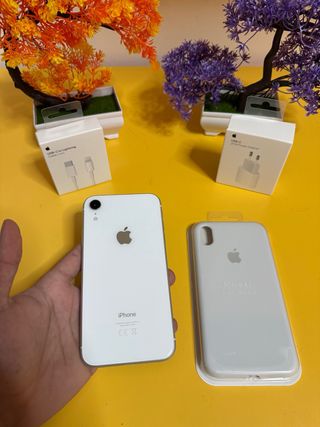 iPhone XR