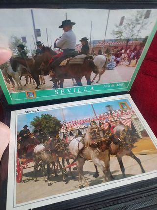 55 POSTALES ANTIGUAS de SEVILLA y ÁLBUM