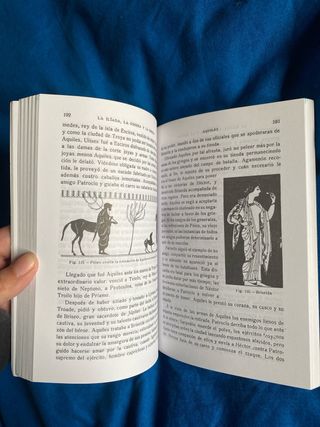 Mitología griega y romana (Spanish Edition)