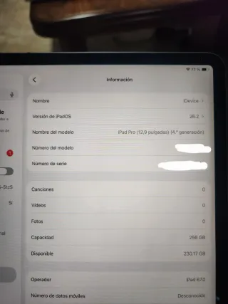 Apple iPad Pro 13 Plata
