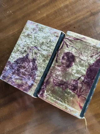 Lote dos libros clásicos