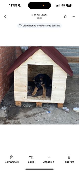 Caseta para perro de madera hecho a medida
