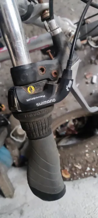 Bicicleta Plegable Plata