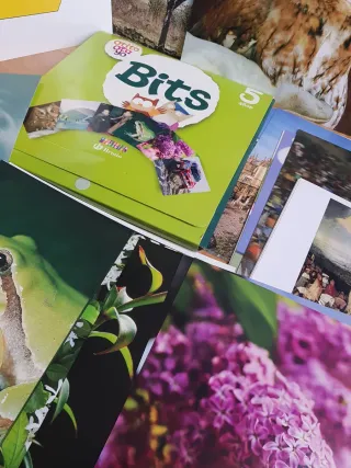 〽️BITS 5 años Educación Infantil TARJETAS