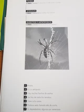〽️BITS 5 años Educación Infantil TARJETAS