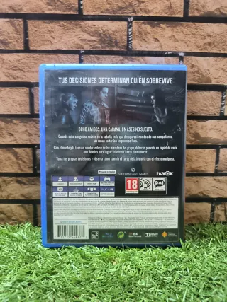 Until Dawn PS4 (PlayStation 4)