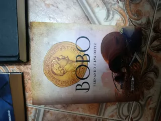 El pintor de almas, Bobo y la mano de Fátima