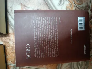 El pintor de almas, Bobo y la mano de Fátima