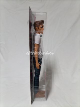 Barbie Fashionistas número 117 Ken