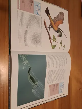 El libro completo de los dinosaurios: 500 espec...