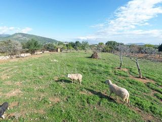 Chalet en venta en Binissalem