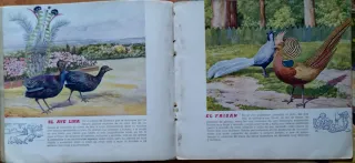 EL REINO ANIMAL PARA NIÑOS AÑOS 30 - 6 VOL.