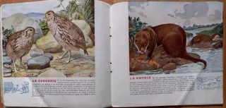 EL REINO ANIMAL PARA NIÑOS AÑOS 30 - 6 VOL.