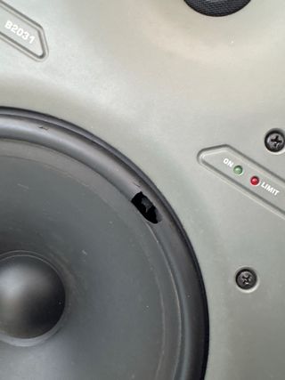 Monitores de estudio Behringer B2031