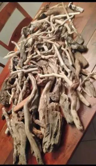 35 pezzi legni da mareggiata