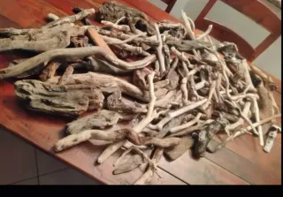 35 pezzi legni da mareggiata