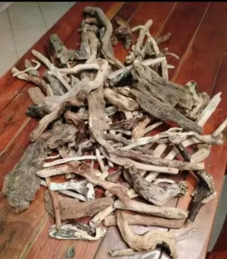 35 pezzi legni da mareggiata