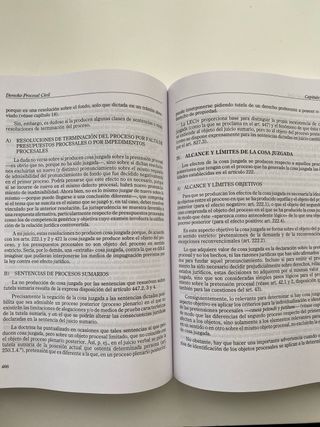 Derecho Procesal Civil 21a Edición Manuel Ortells