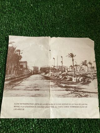 Lotería Peña Madridista Ilicitana 29.851