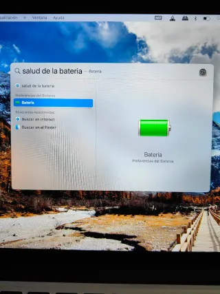 Portátil Apple MacBook Pro 12.1 Gris