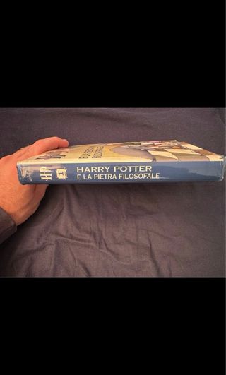 Harry potter e la pietra filosofale