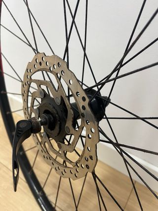 Ruota MTB 29 con Disco
