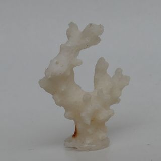 minerali ARAGONITE CORALLOIDE (A7)