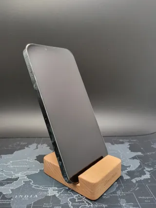 iPhone 13 Pro Max 256GB