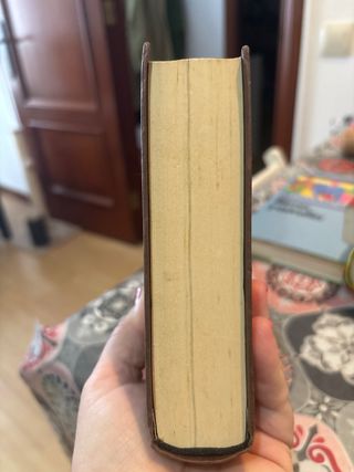 La ladrona de libros