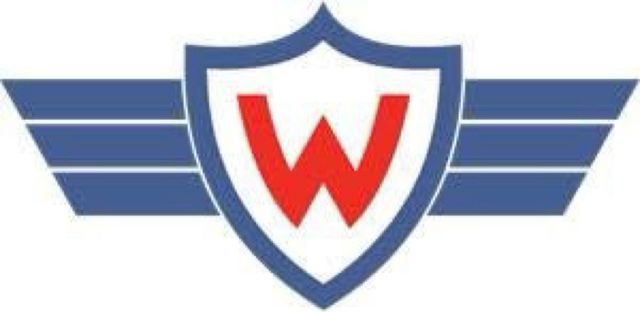 Camiseta Wlstermann de Bolivia 2010