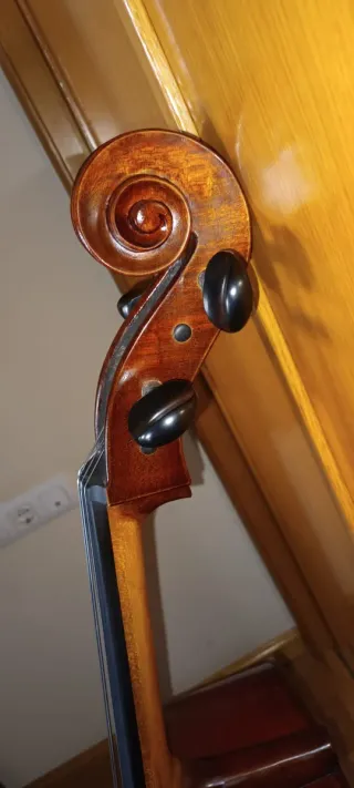 Violonchelo.