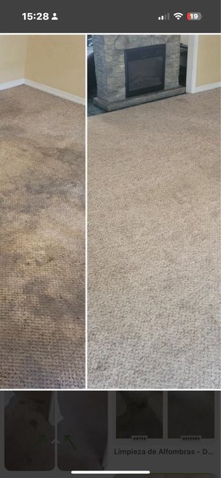 limpieza de alfombras