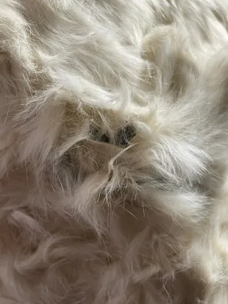 Colbacco CCCP anni 60/70 in pelo