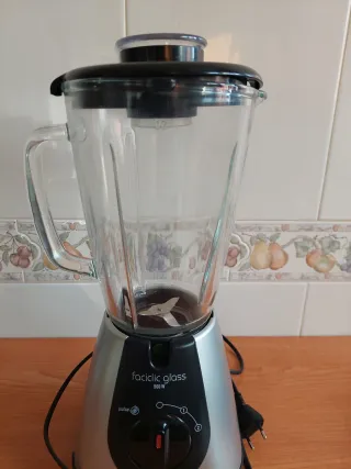 Licuadora Moulinex Faciclic Glass 500W