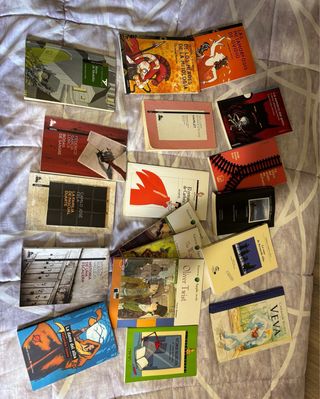 Libros para el instituto