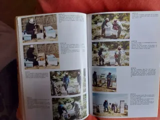 APICULTURA. CONOCIMIENTO DE LA ABEJA. MANEJO DE LA