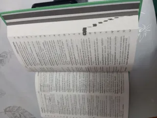 Diccionario Manual Griego. Griego clásico-Españ...