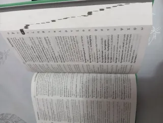 Diccionario Manual Griego. Griego clásico-Españ...