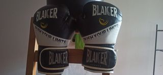 Saco boxeo + guantes + enganches